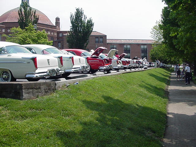 Fin's in a row.jpg, 6/6/2006, 67 kB