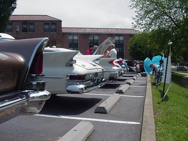 More Fins.jpg, 6/6/2006, 62 kB