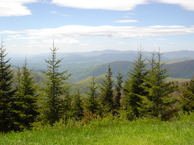 7.jpg, 6/6/2006, 310 kB