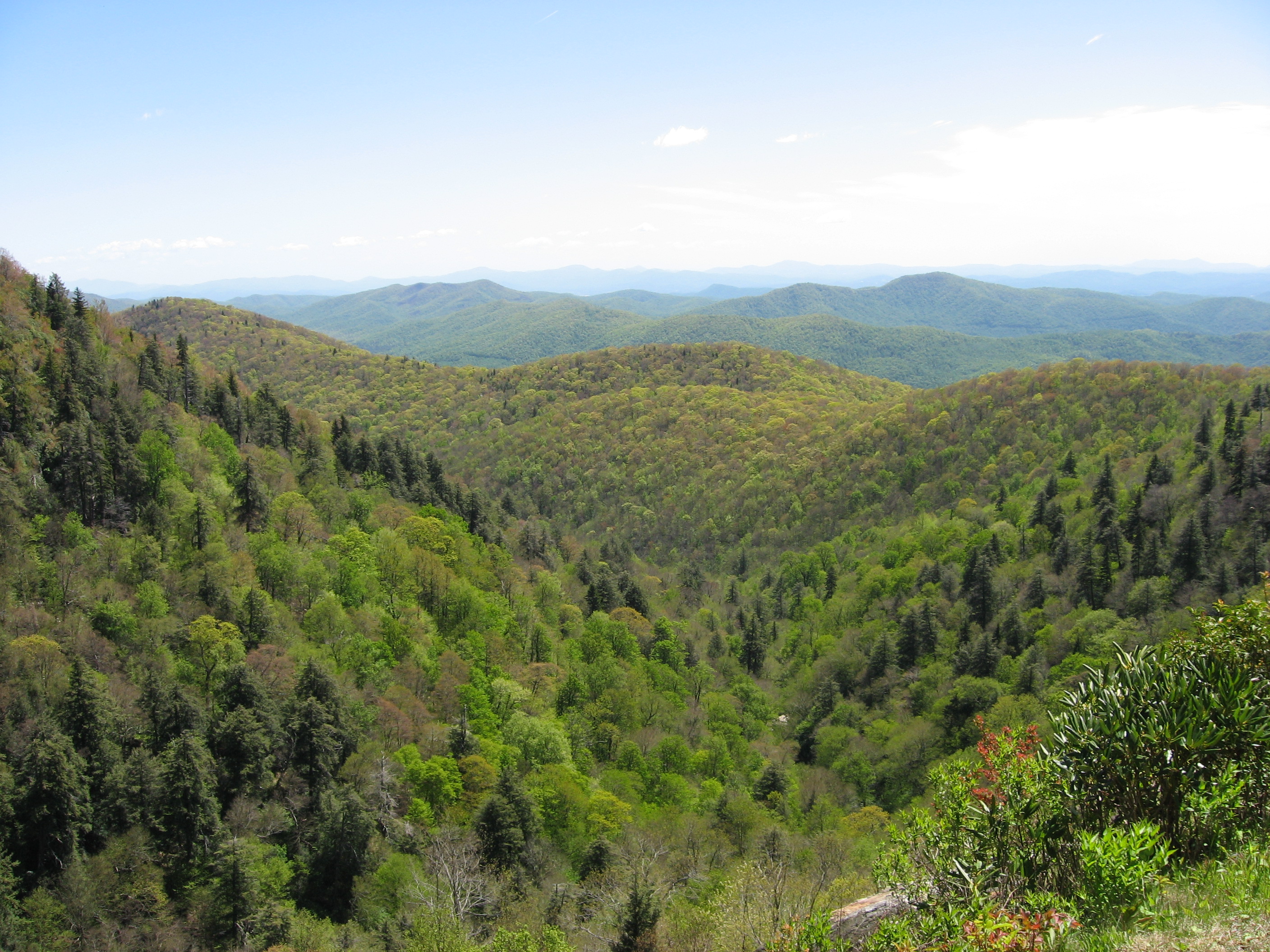 IMG_0022.JPG, 6/6/2006, 1982 kB