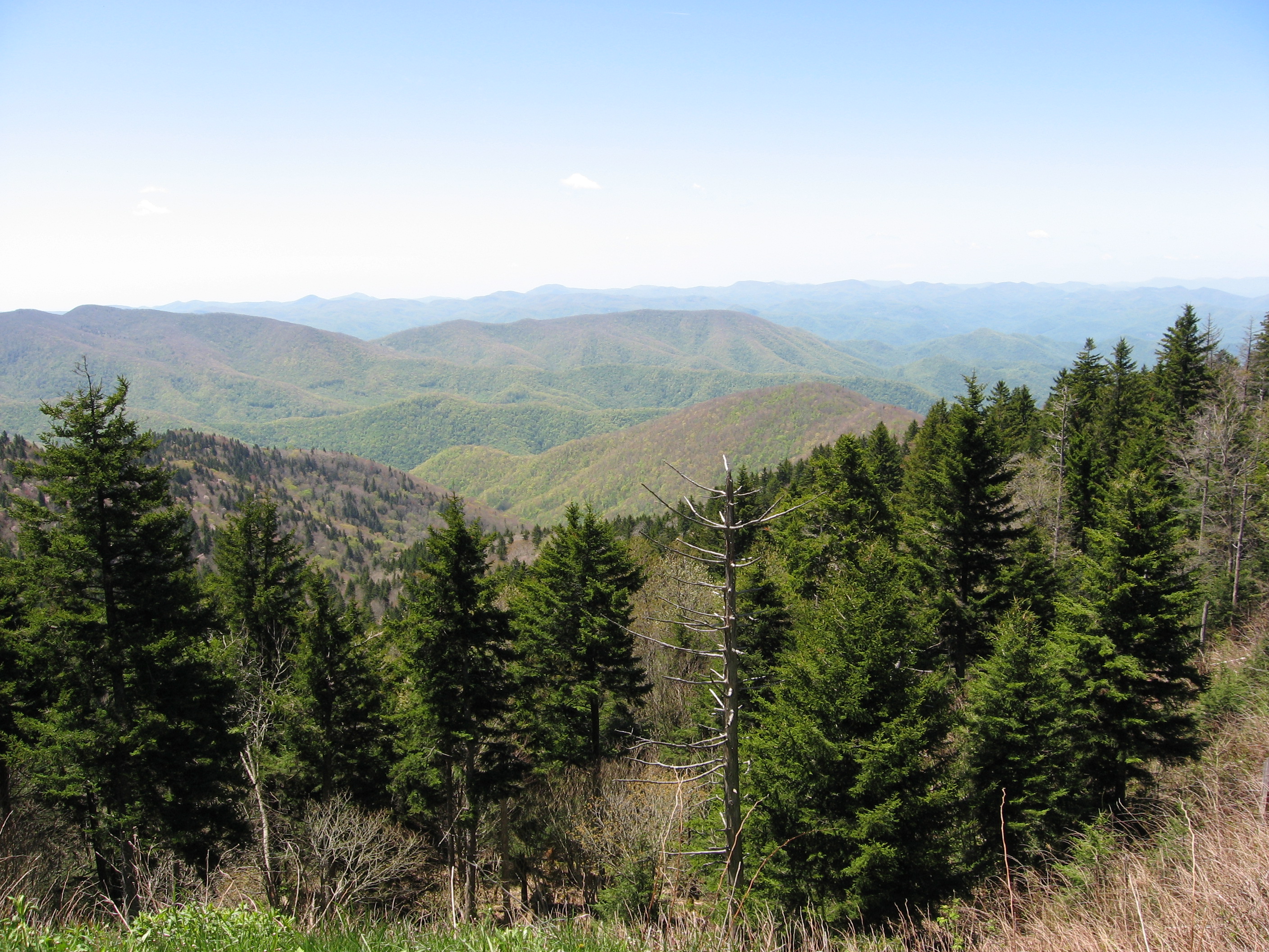 IMG_0023.JPG, 6/6/2006, 2112 kB