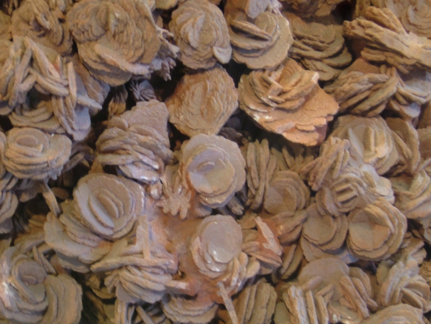 amitch_069.JPG, 10/30/2006, 411 kB