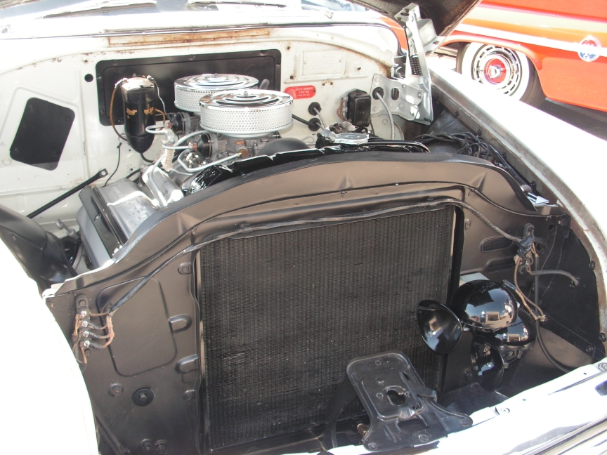 rbarb_012.JPG, 10/30/2006, 451 kB