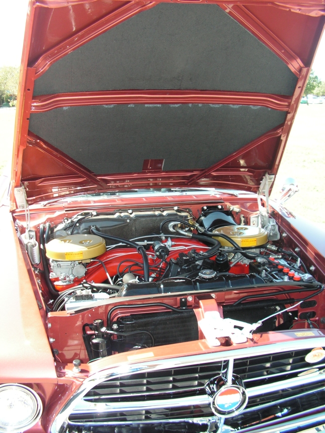 rbarb_015.JPG, 10/30/2006, 471 kB