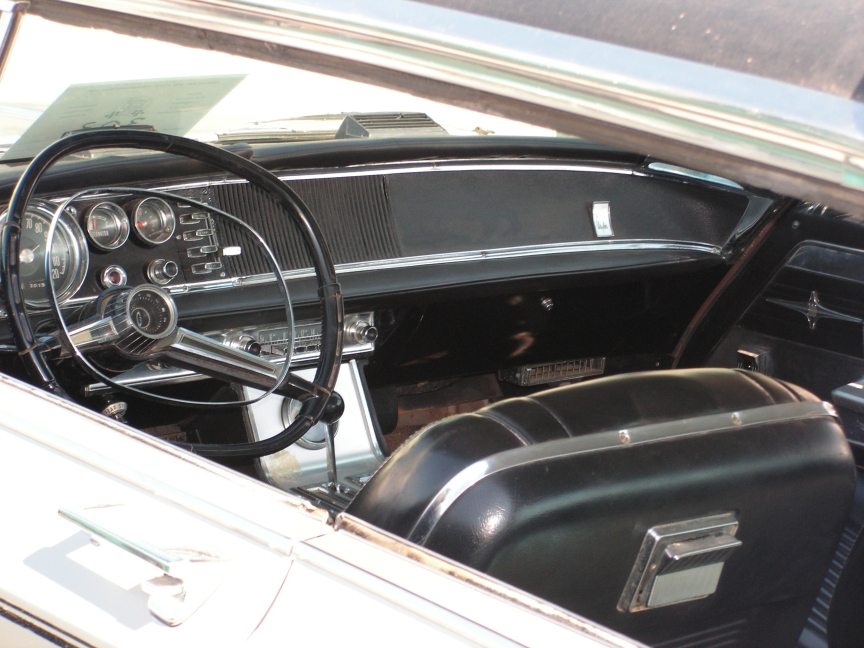 rbarb_021.JPG, 10/30/2006, 421 kB