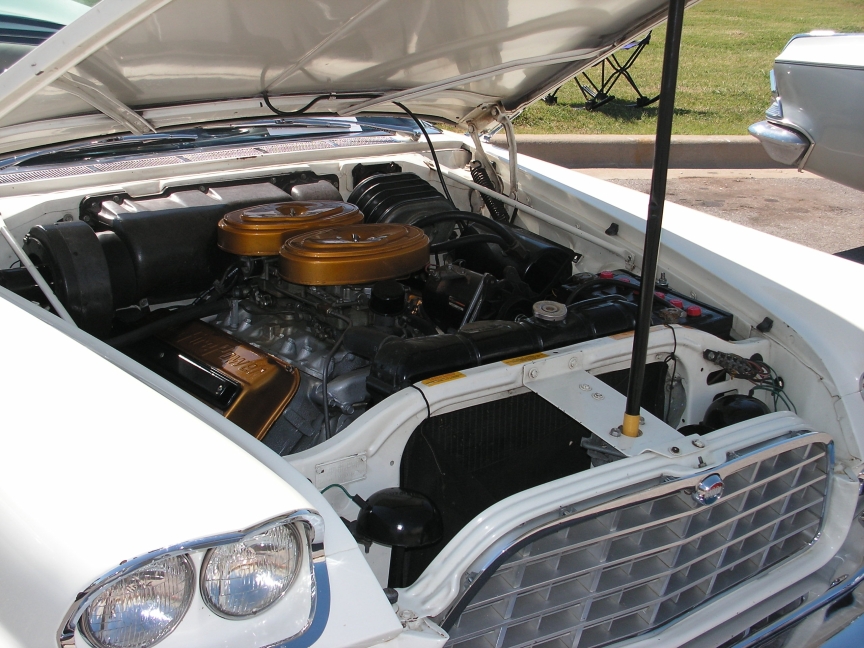 rbarb_023.JPG, 10/30/2006, 464 kB