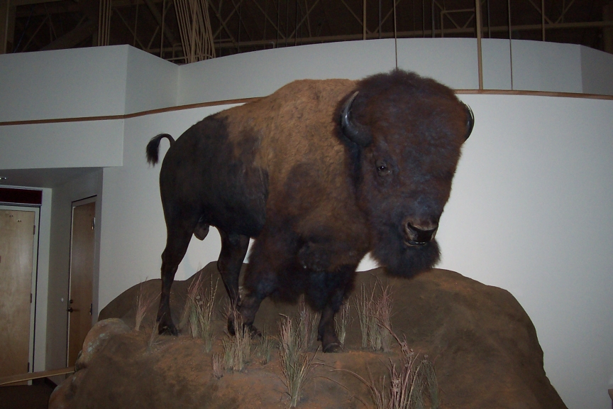 spanky_052.jpg, 10/30/2006, 330 kB