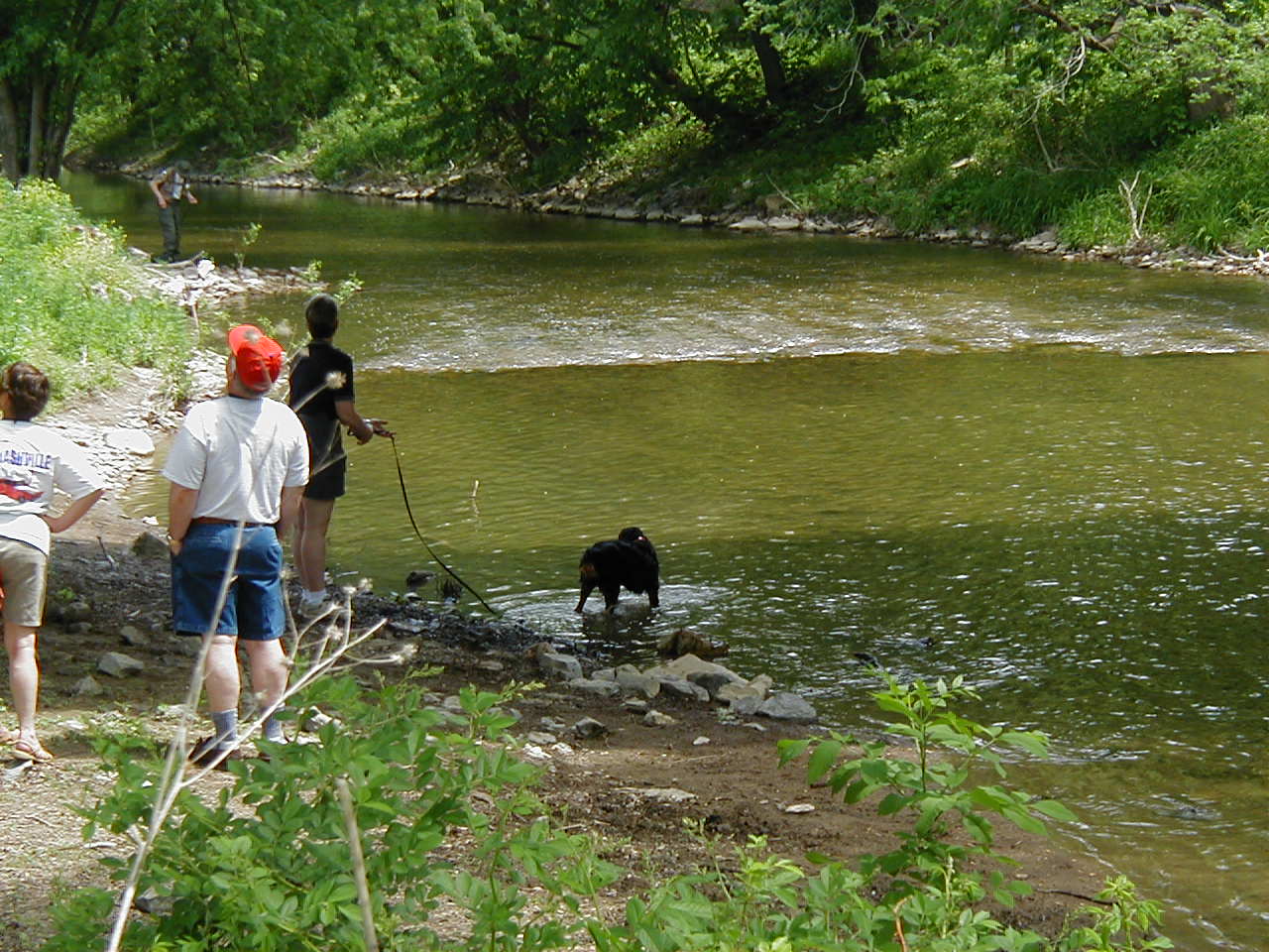 P5130014.jpg, 5/17/04, 211 kB