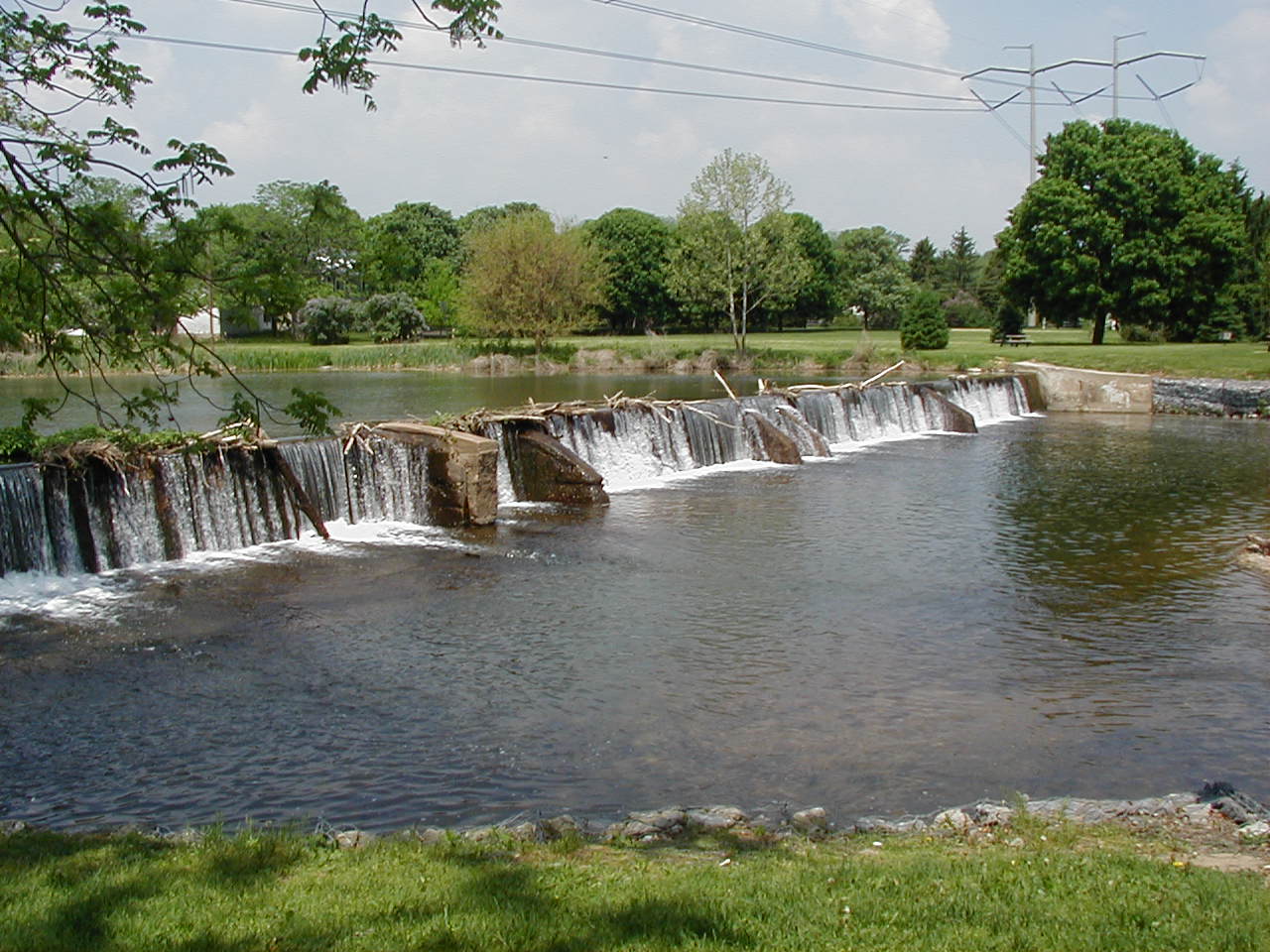 P5130015.jpg, 5/17/04, 201 kB