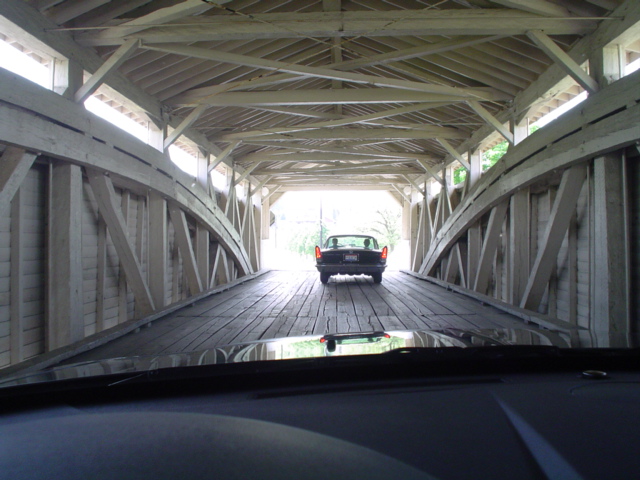 br0cl1.jpg, 5/16/04, 146 kB