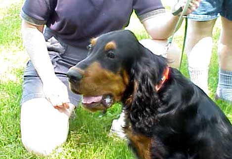 br7.JPG, 5/18/04, 30 kB