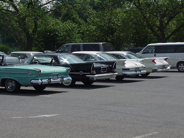 more fins.jpg, 5/22/04, 62 kB