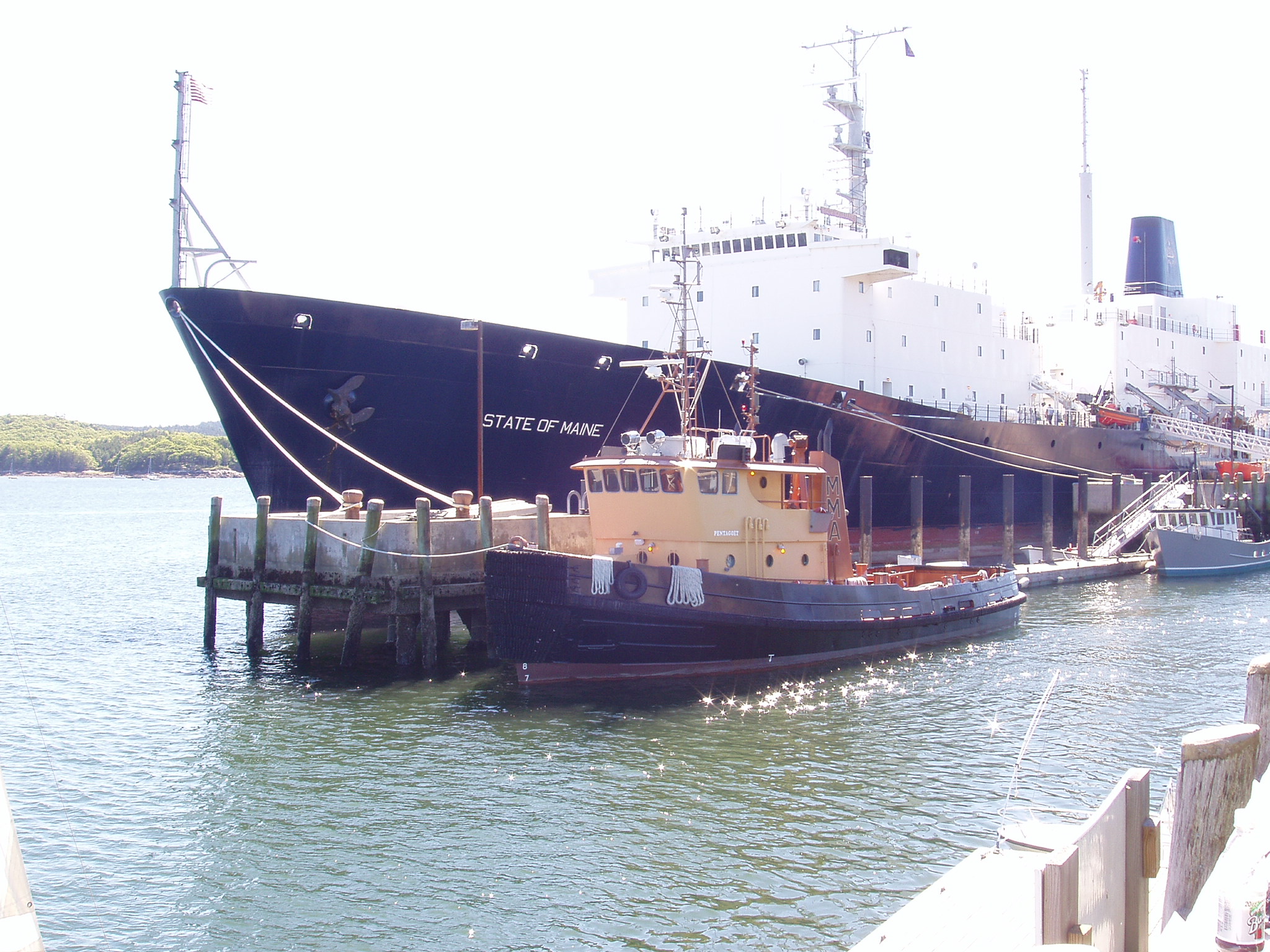 P1010087.JPG, 1/1/02, 756 kB