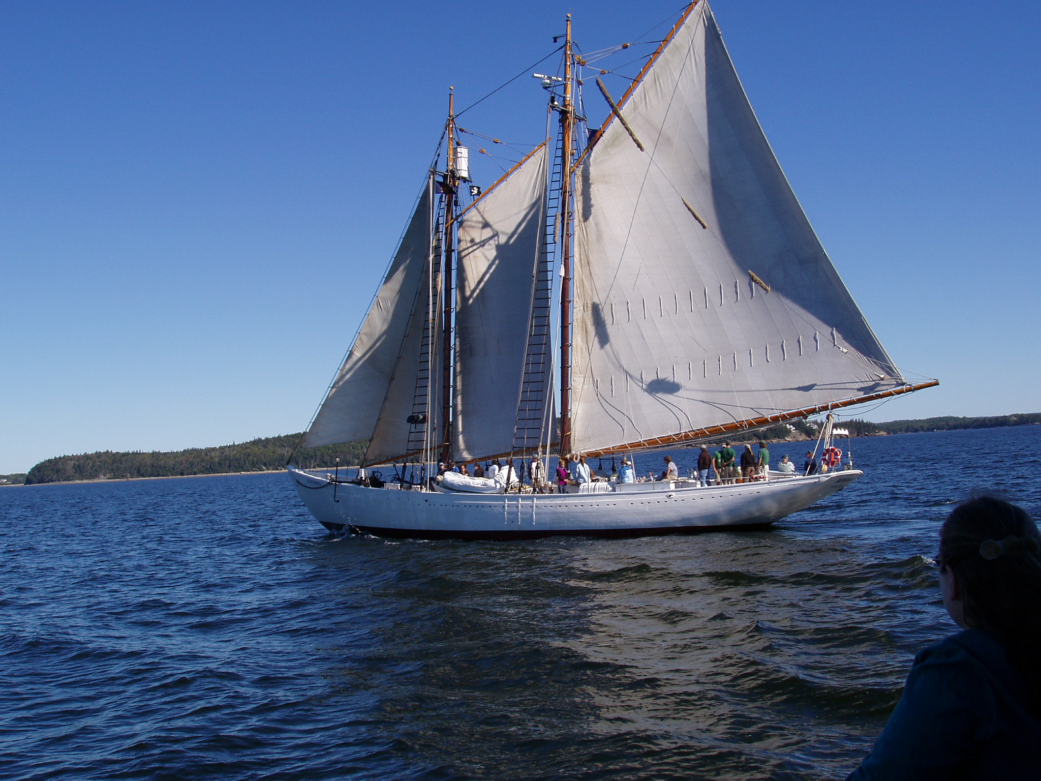 P1010094.JPG, 1/1/02, 723 kB