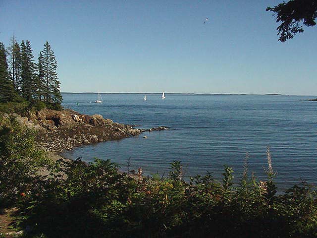 owlshead.JPG, 10/1/04, 53 kB