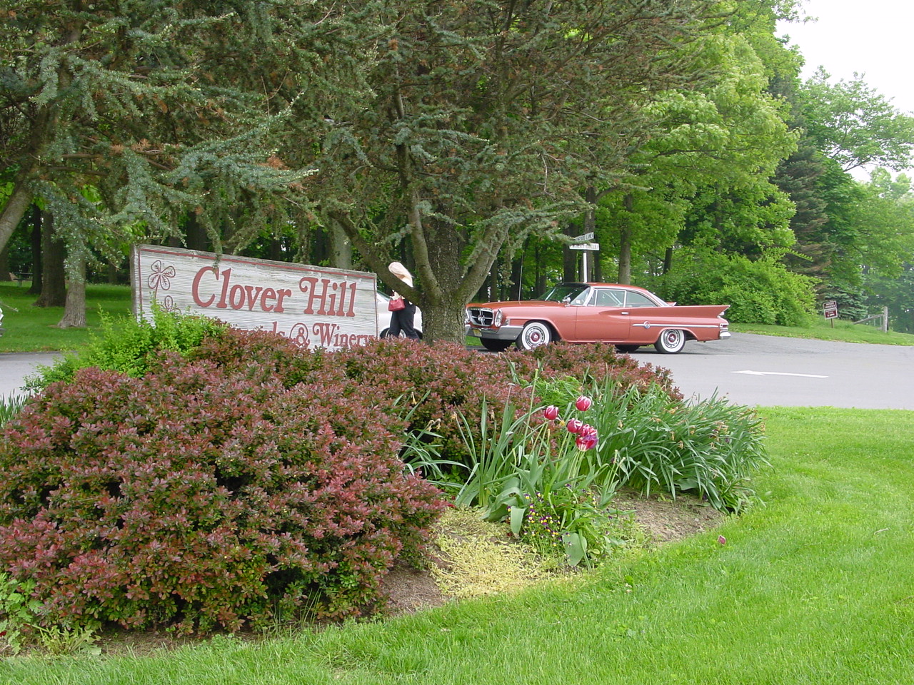 DSC00723.JPG, 5/16/04, 603 kB